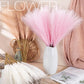 15Pcs Fausses Fleurs Pampas | 15Pcs Fake Flower Pampas