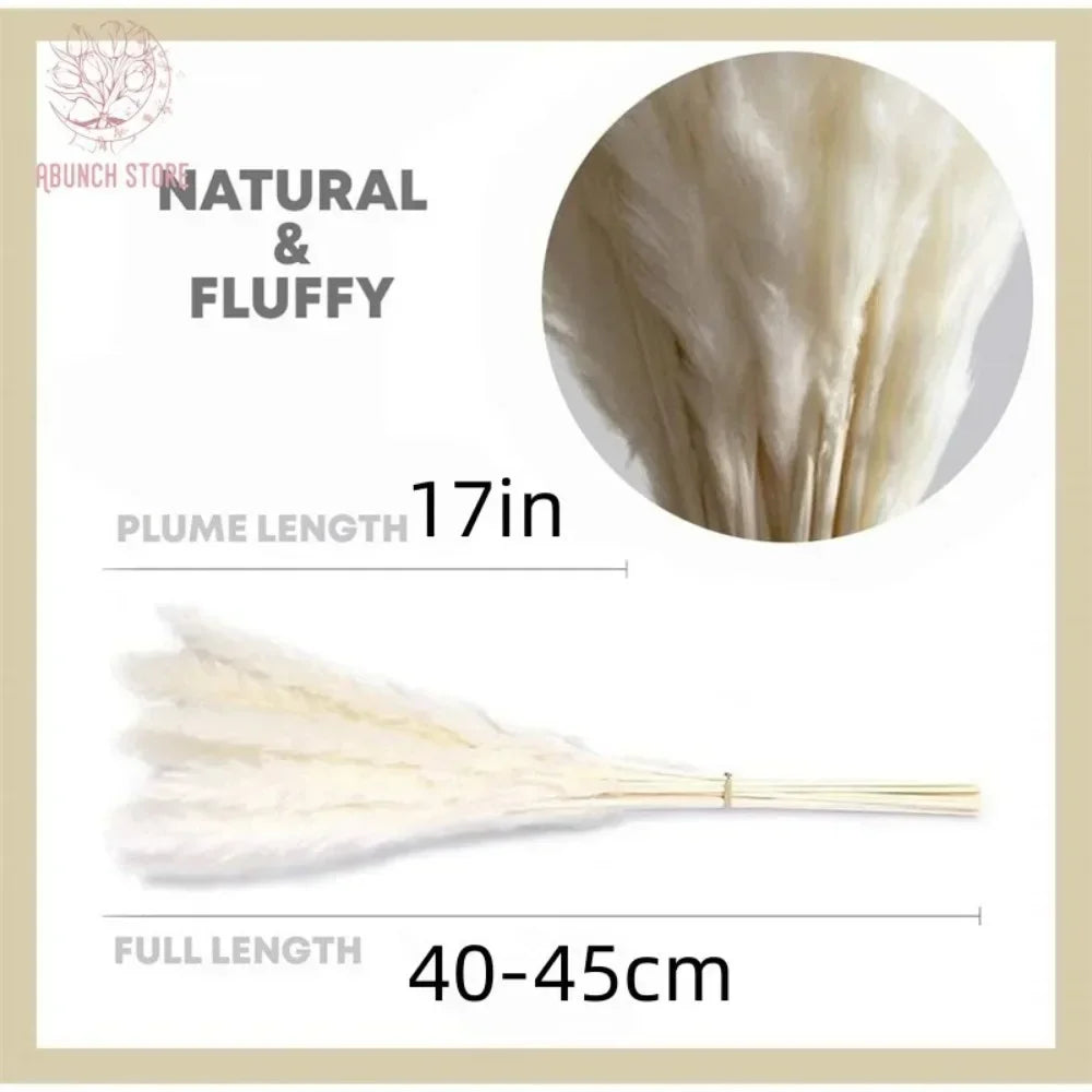 15 Pcs Pampas Naturel | 15Pcs Natural Pampas