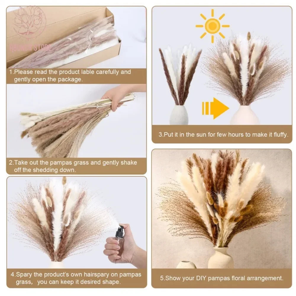 15 Pcs Pampas Naturel | 15Pcs Natural Pampas