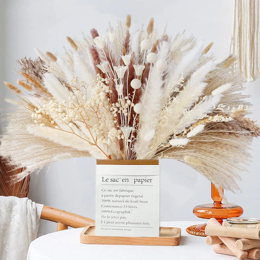 Pampa naturelle sechee | Natural Dried Pampas