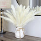 15 Pcs Pampas Naturel | 15Pcs Natural Pampas