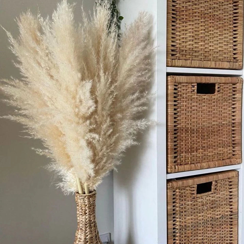 10Pcs 80-120CM Fluffy Pampas Séchéé | 10Pcs 80-120CM Fluffy Dried Pampas