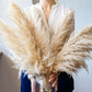 10Pcs 80-120CM Fluffy Pampas Séchéé | 10Pcs 80-120CM Fluffy Dried Pampas